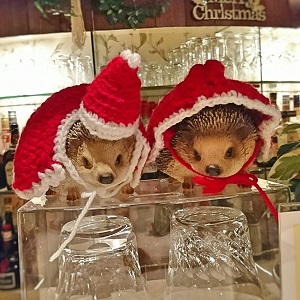 クリスマス・ハリネズミ